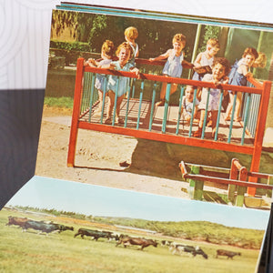 1960s Rare Vintage Ayelet Hashahar, a Kibbutz in Israel Photo Book. Printed in Israel.