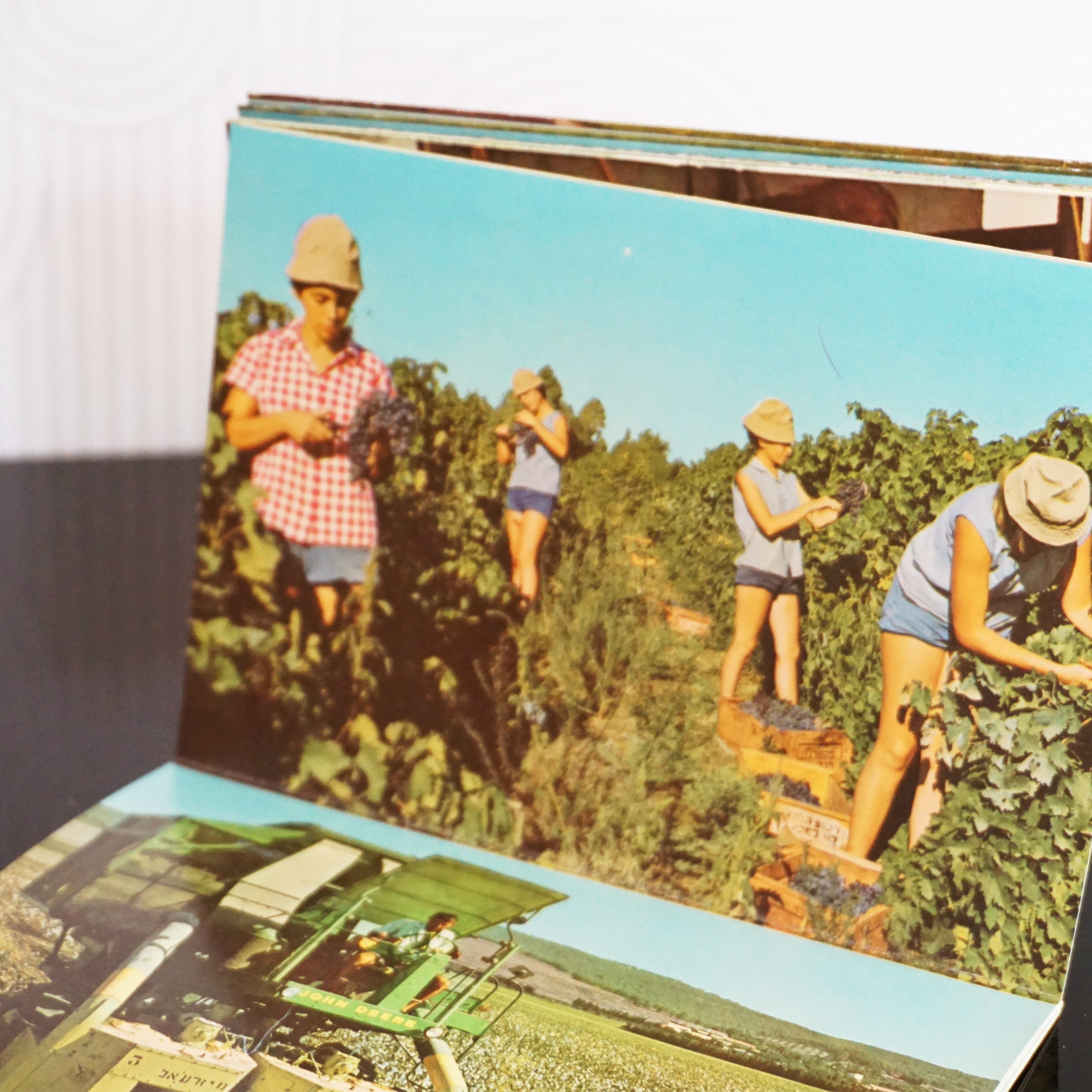 1960s Rare Vintage Ayelet Hashahar, a Kibbutz in Israel Photo Book. Printed in Israel.